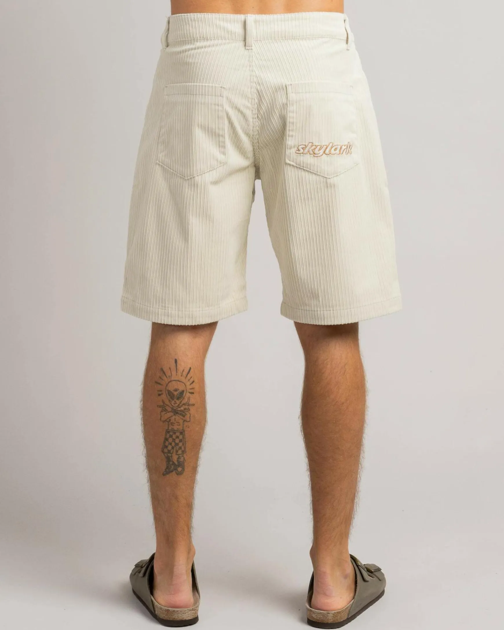 Ascent Walk Shorts