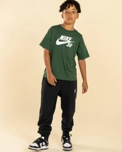 Boys' Dunk SB HBR T-Shirt
