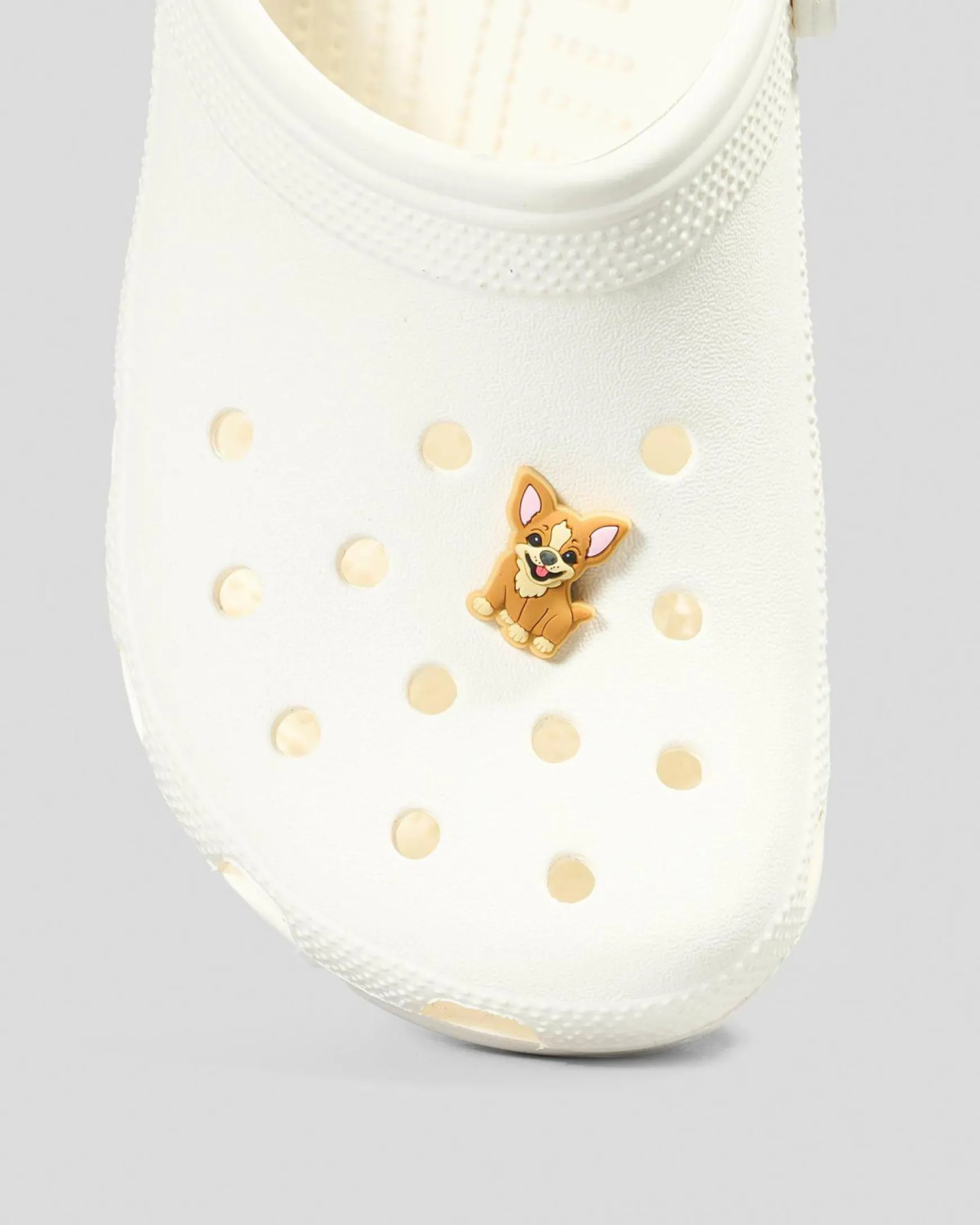 Chihuahua Puppy Jibbitz