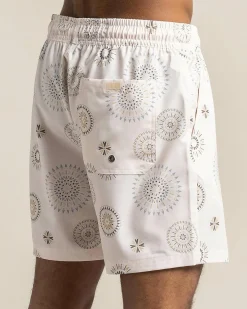Circuit Elastic Waist Board Shorts