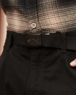 Cog Web Belt