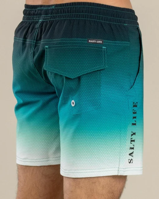 Density Elastic Waist Shorts