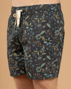 Dewfall Elastic Waist Shorts
