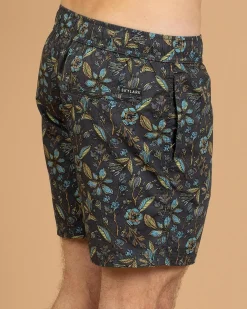 Dewfall Elastic Waist Shorts
