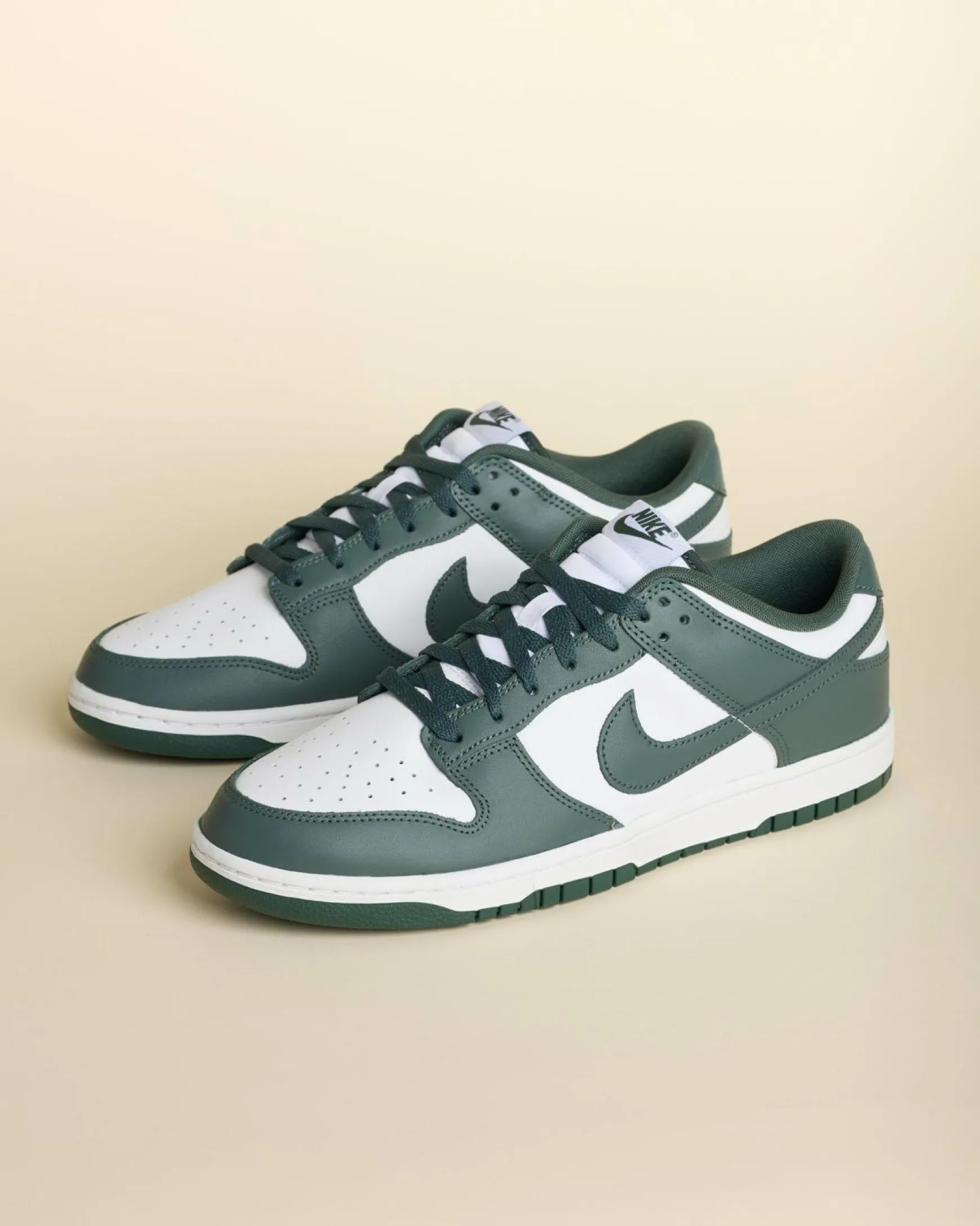 Dunk Low Retro Shoes