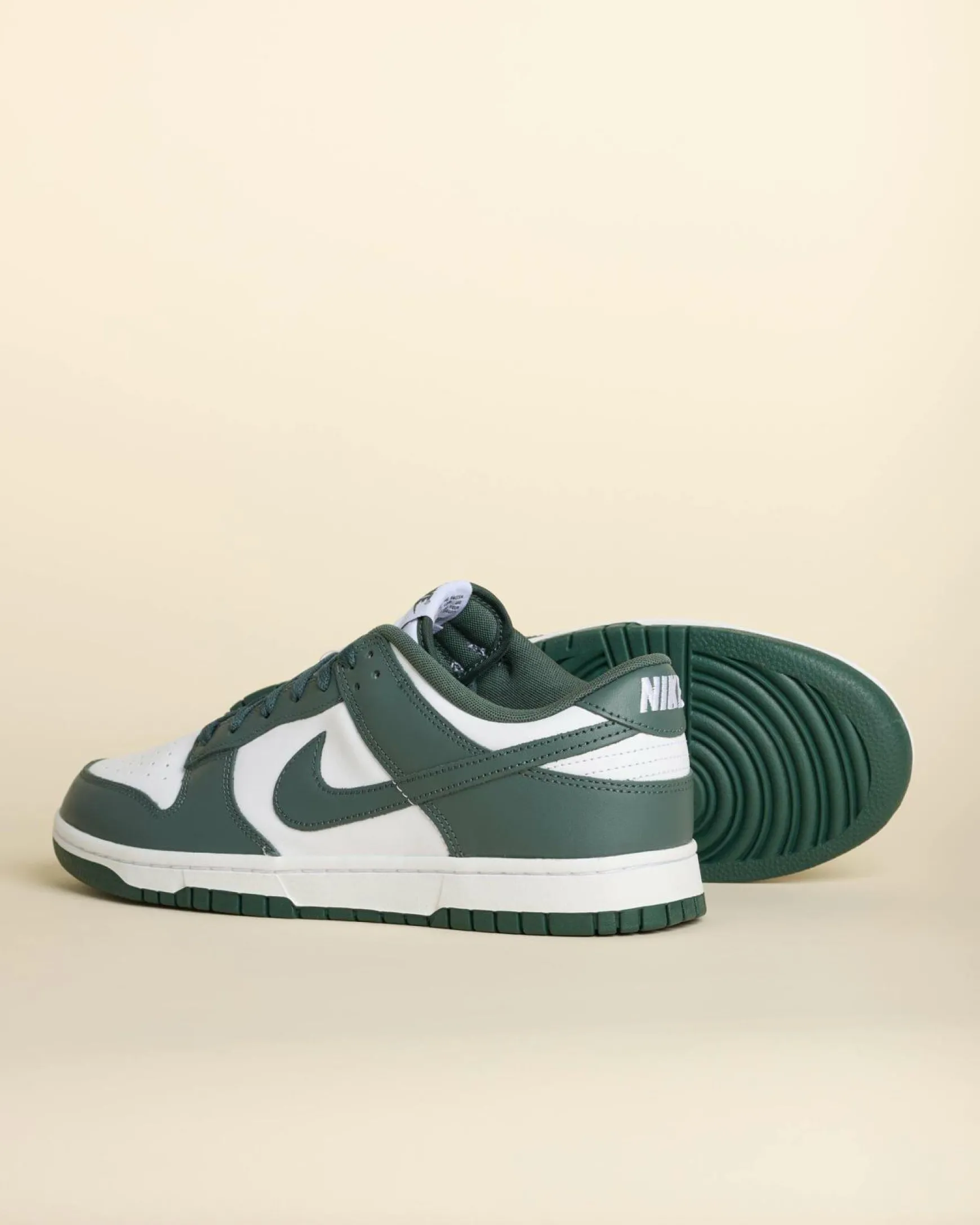 Dunk Low Retro Shoes