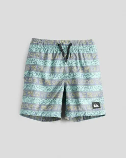 Everyday Straight VLY Boy 13NB Board Shorts