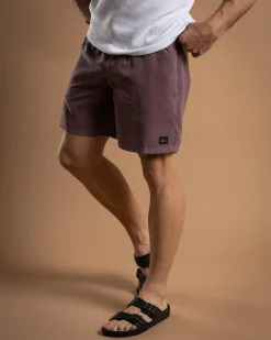 Everyday Surfwash Volley 17" Board Shorts