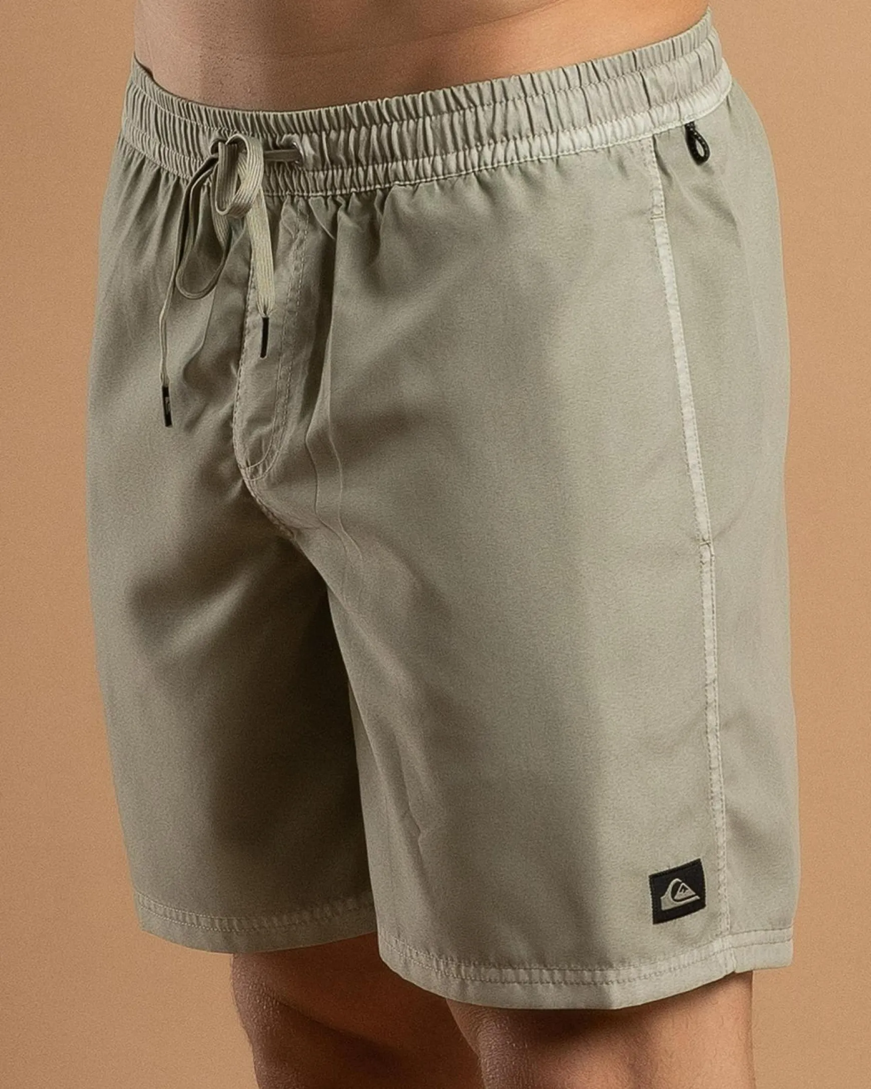 Everyday Surfwash Volley 17" Board Shorts