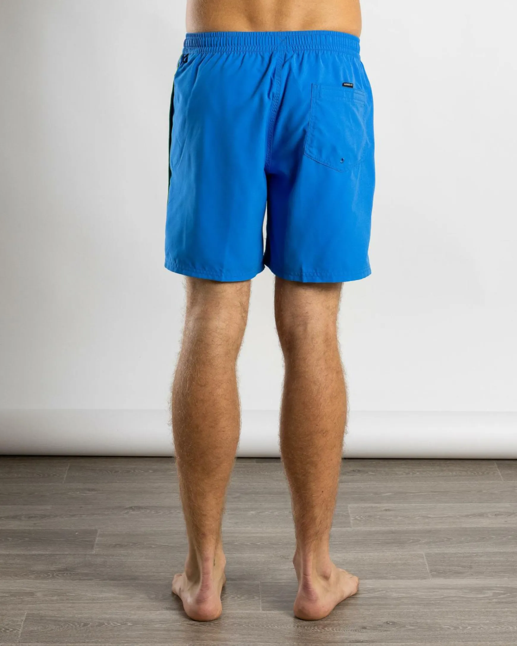 Everyday Vert Volley 2 17" Board Shorts
