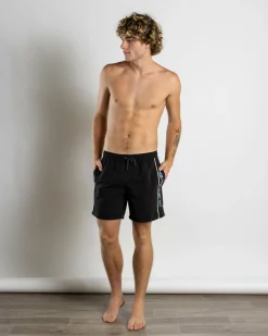 Everyday Vert Volley 2 17" Board Shorts