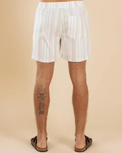 Extend Elastic Waist Shorts