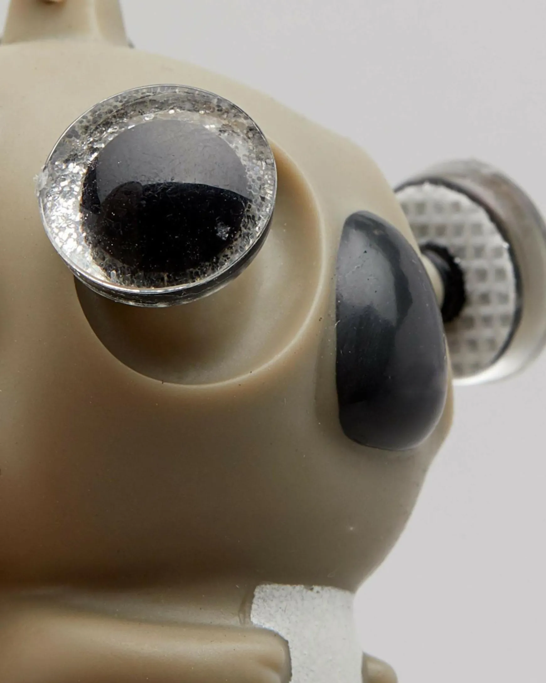 Eye Popping Koala Keyring