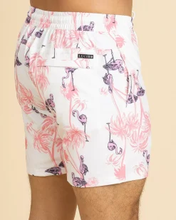 Feather Elastic Waist Shorts