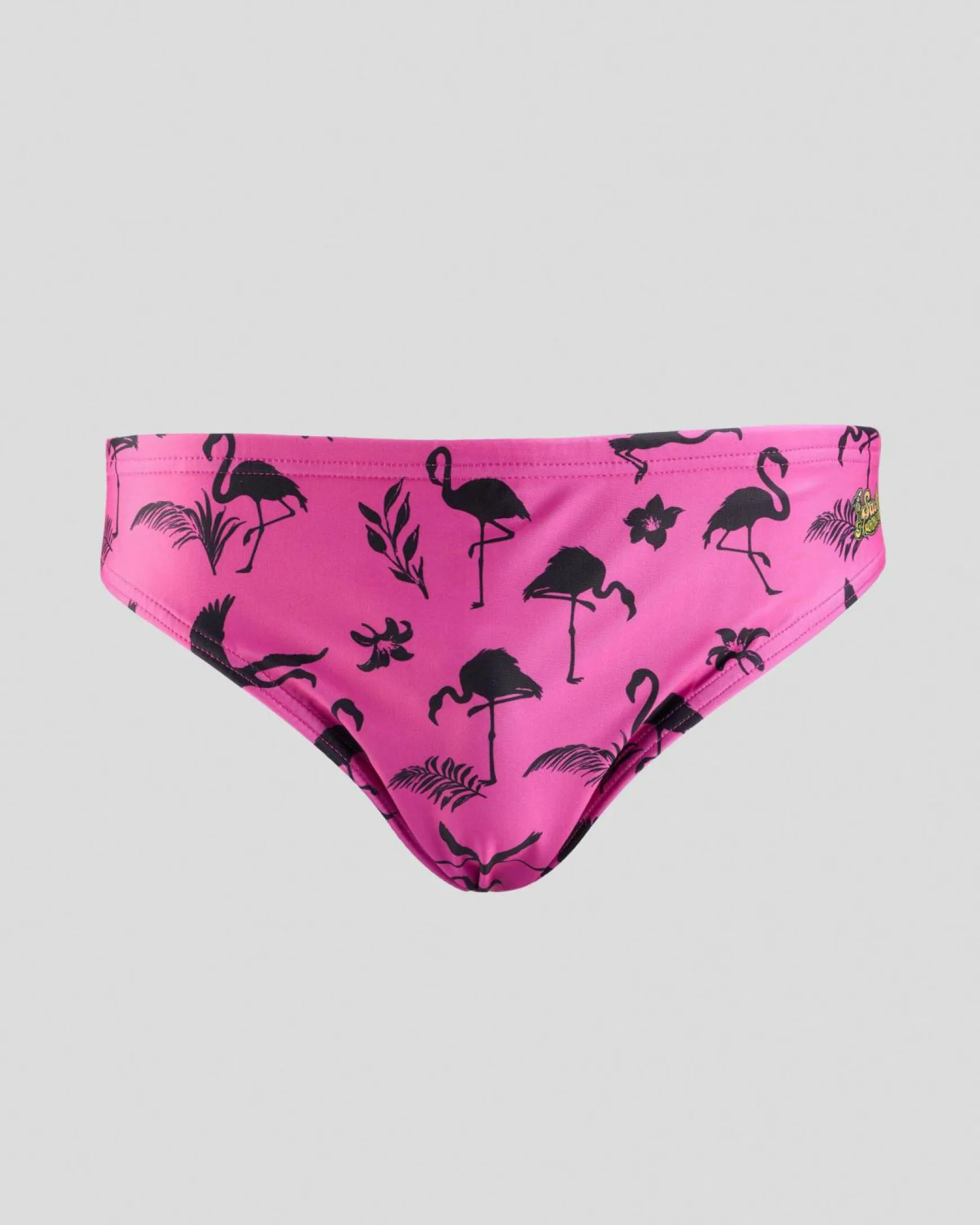 Fiesta Swim Briefs