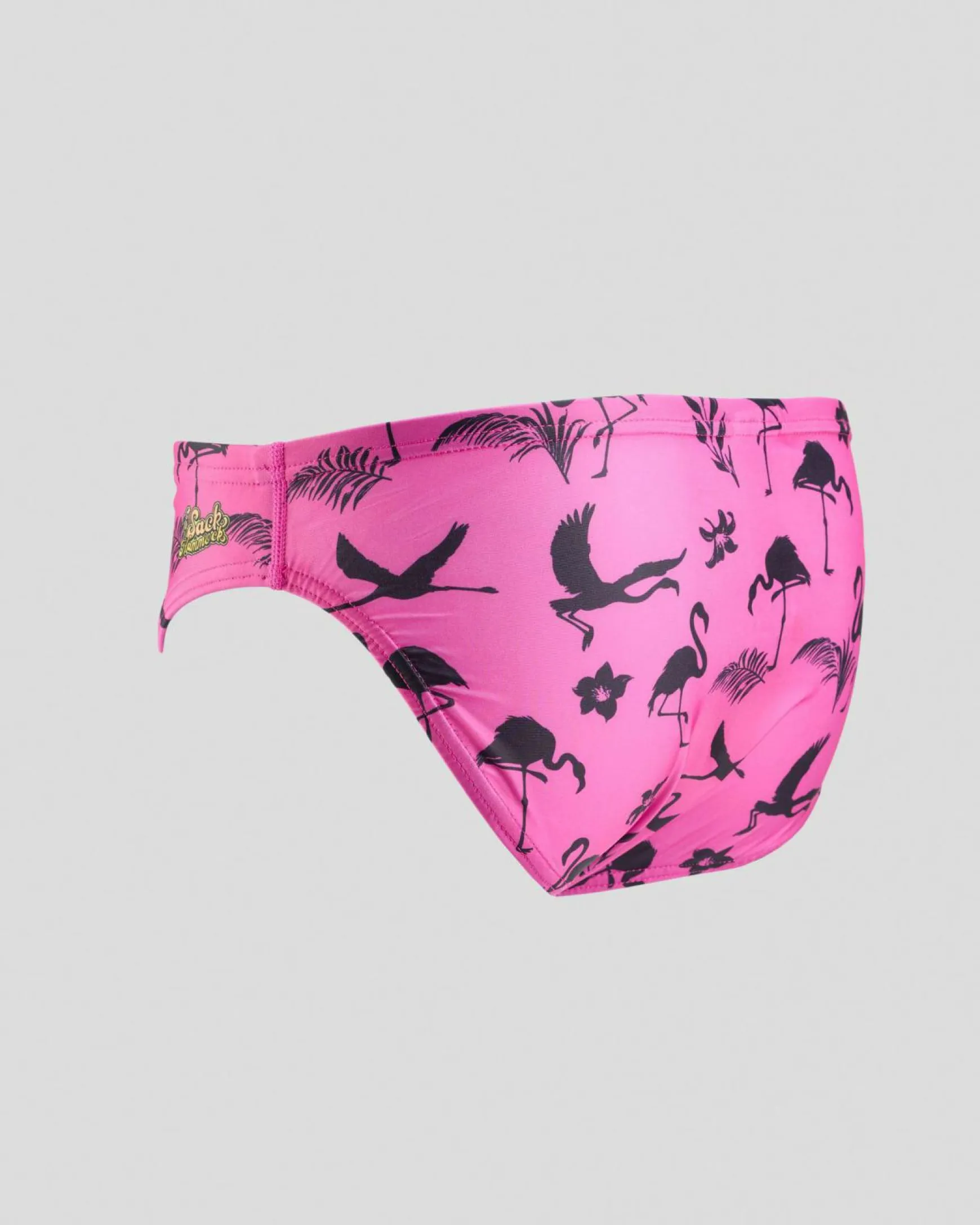 Fiesta Swim Briefs