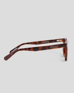 Homeland Polarised Sunglasses