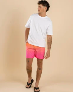 Luminous Elastic Waist Shorts