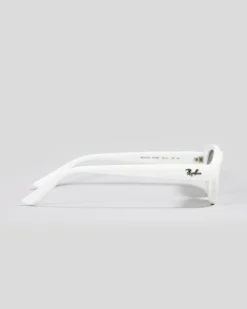 RB4441D Bio-Bases Sunglasses