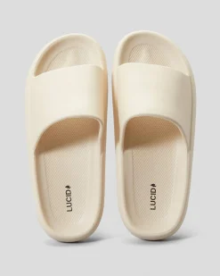 Rebound Slides