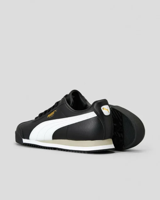Roma 24 Standard Shoes