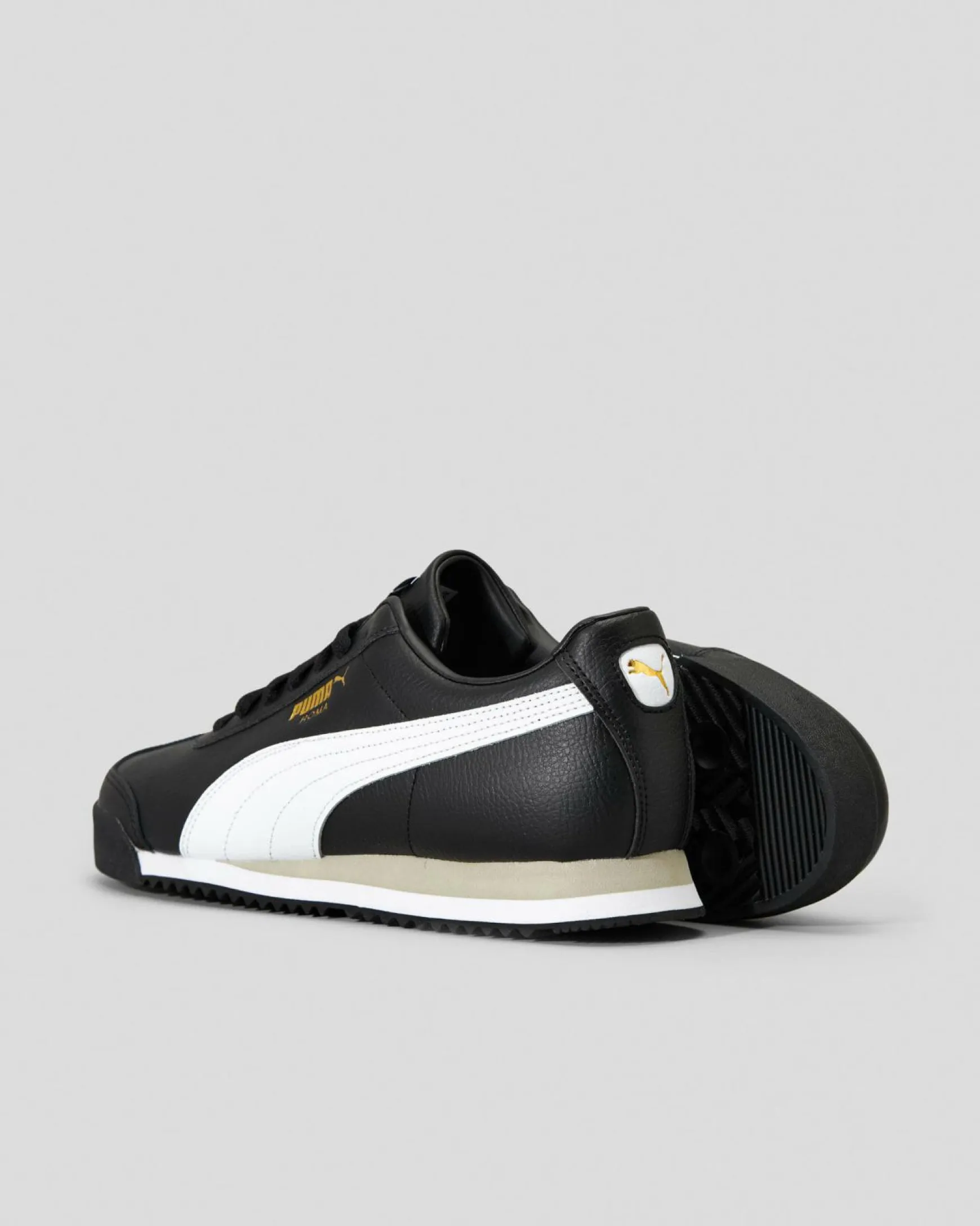 Roma 24 Standard Shoes