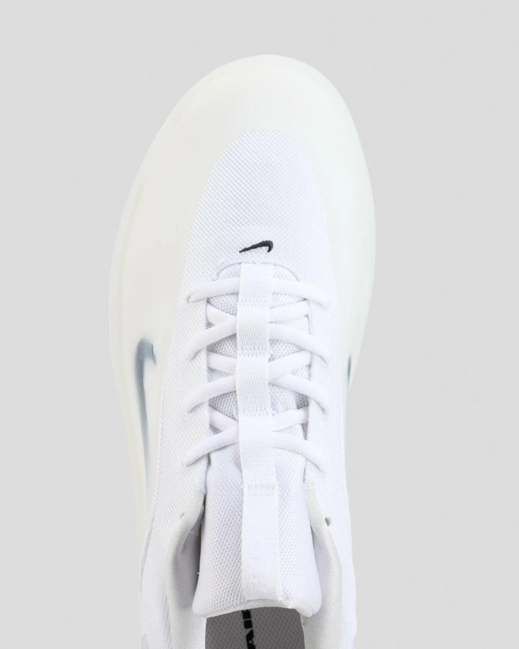 SB Zoom Nyjah 4 Shoes