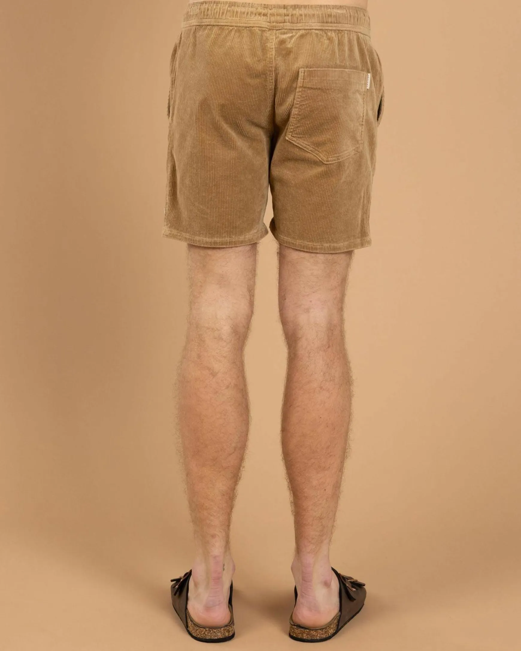 Tether Elastic Waist Shorts