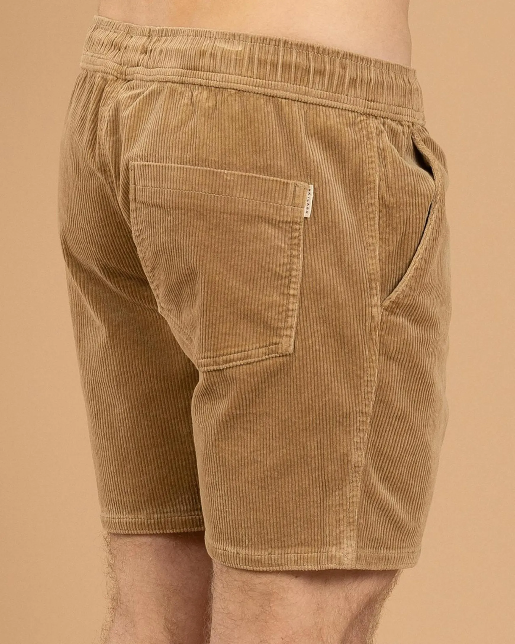 Tether Elastic Waist Shorts