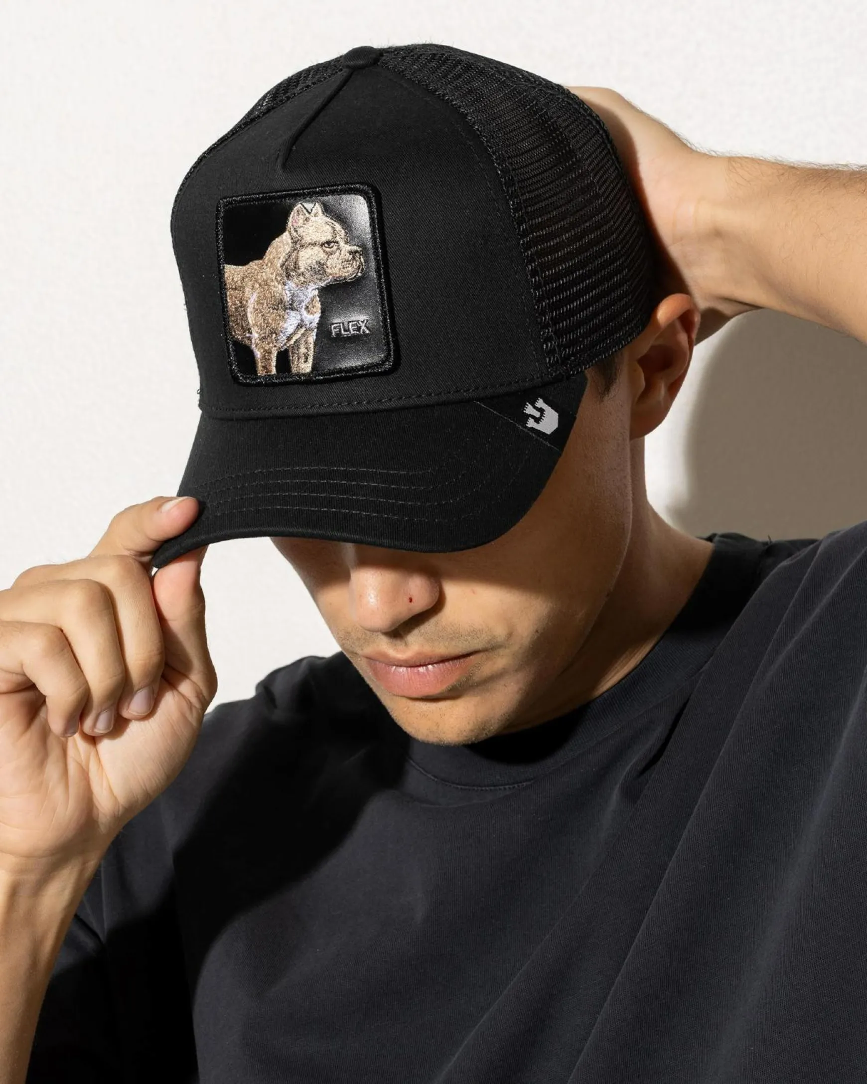 The Pitbull Trucker Cap