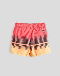 Toddlers' Linear Elastic Waist Shorts