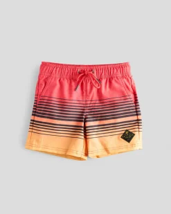 Toddlers' Linear Elastic Waist Shorts