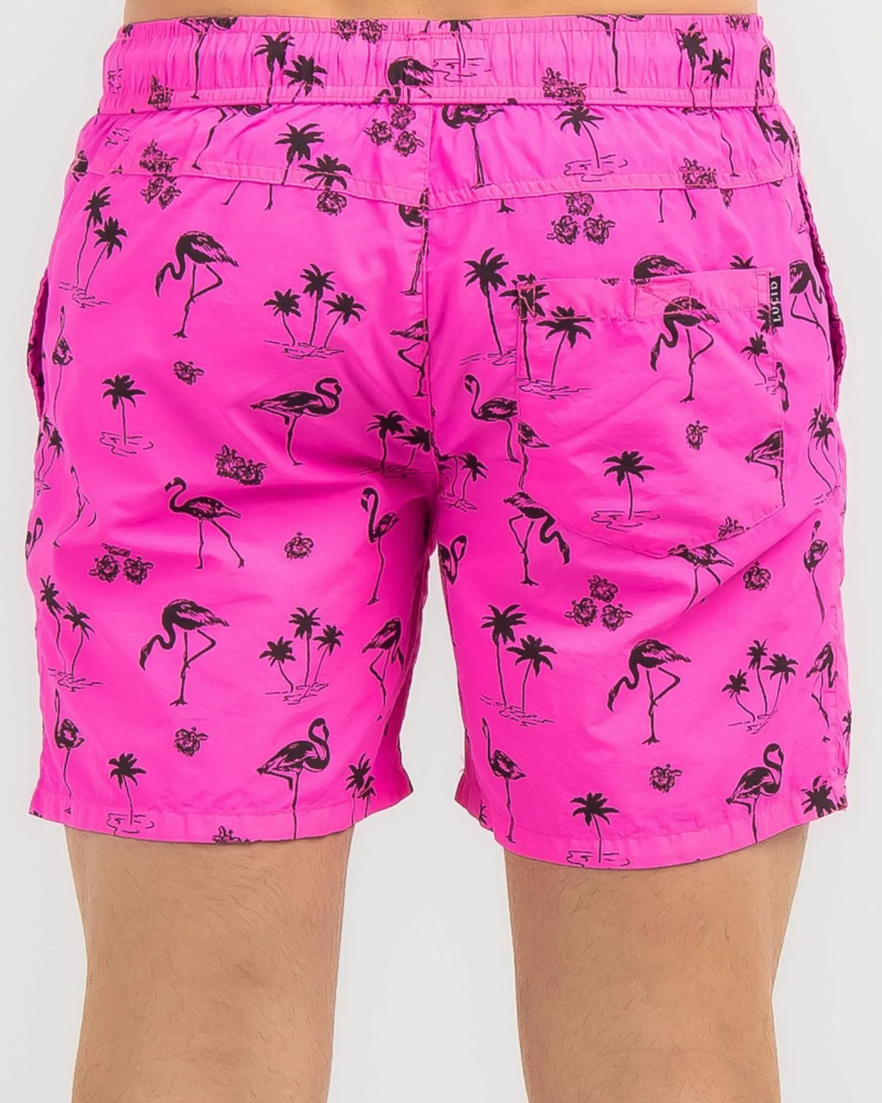 Voyager Elastic Waist Shorts