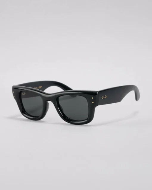 Wayfarer Puffer Sunglasses