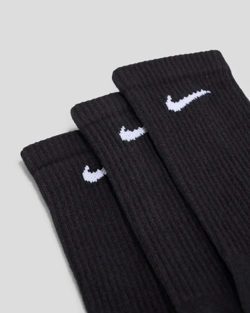 Women's Everyday Plus Cushioned Crew Sock Pack
