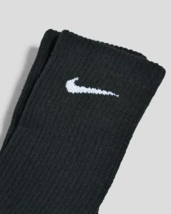 Women's Everyday Plus Cushioned Training Crew Sock Pack